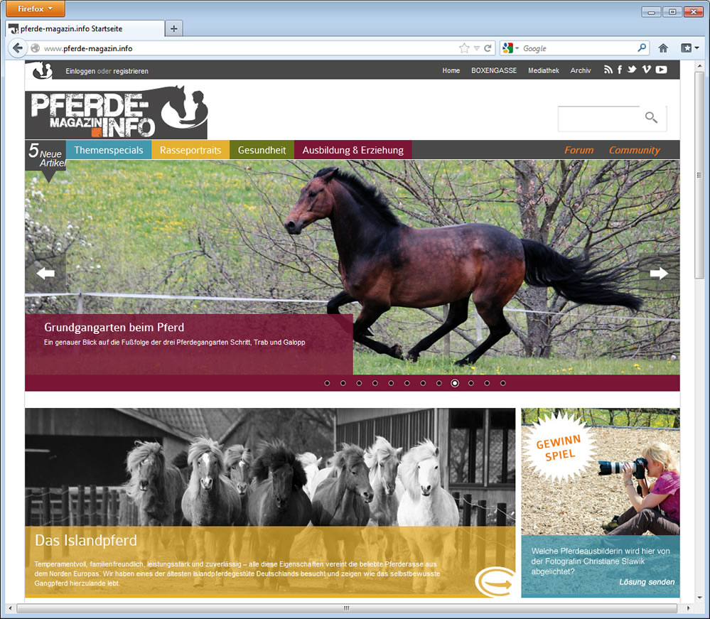 Programmierung Internetportal Pferdemagazin.info